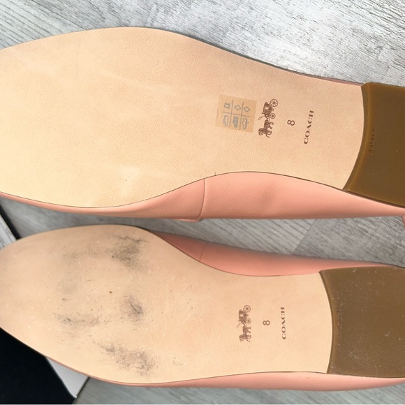 Coach slides - Picture 3 of 8